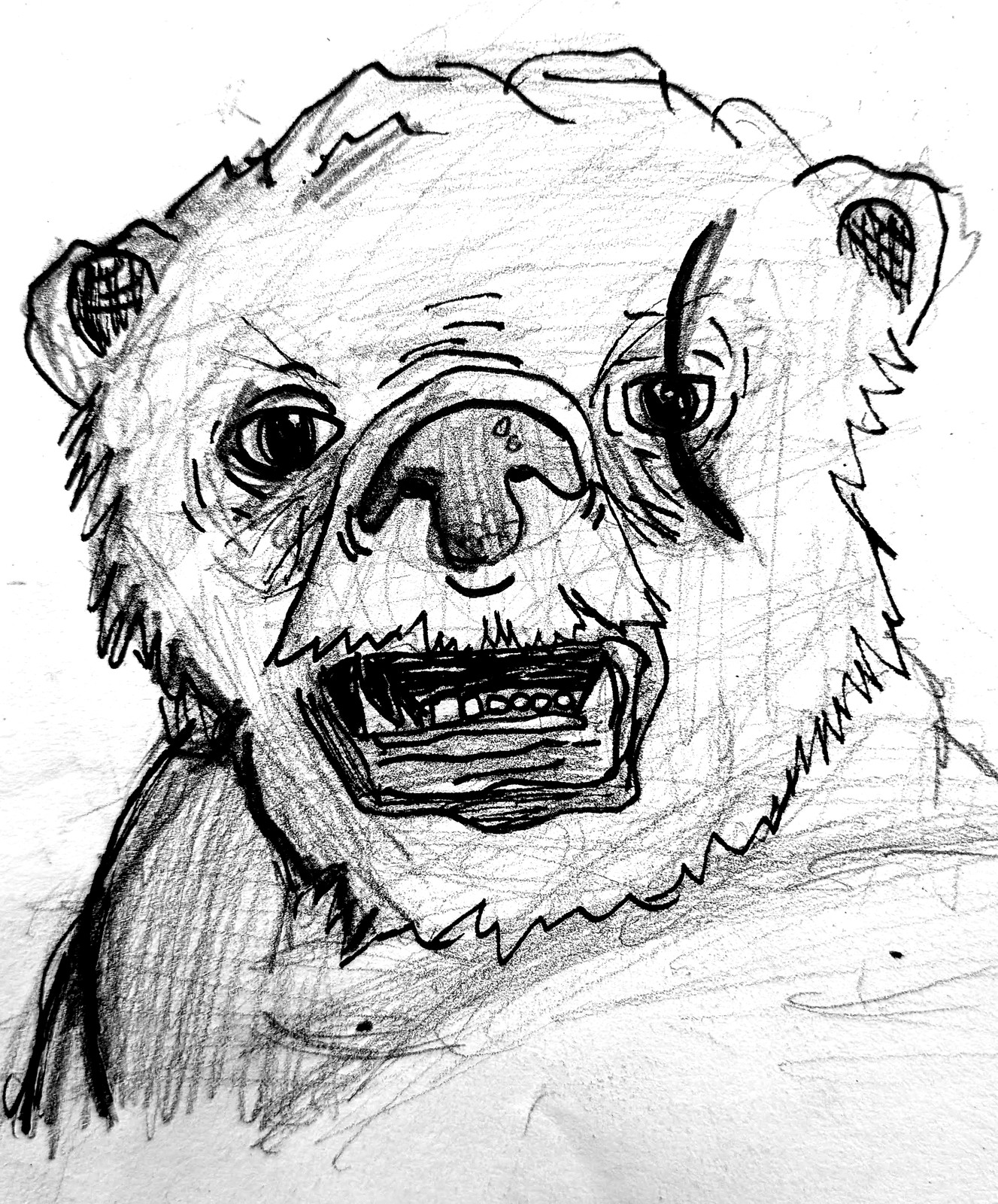 A dramatic pencil portrait of a bear's face — wide-eyed, mouth open, drawn close-up with heavy shading