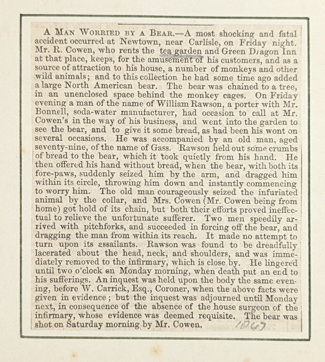 Newspaper article from 1869 headlined 'A Man Worried by a Bear', describing the attack at the Green Dragon Inn, Newtown
