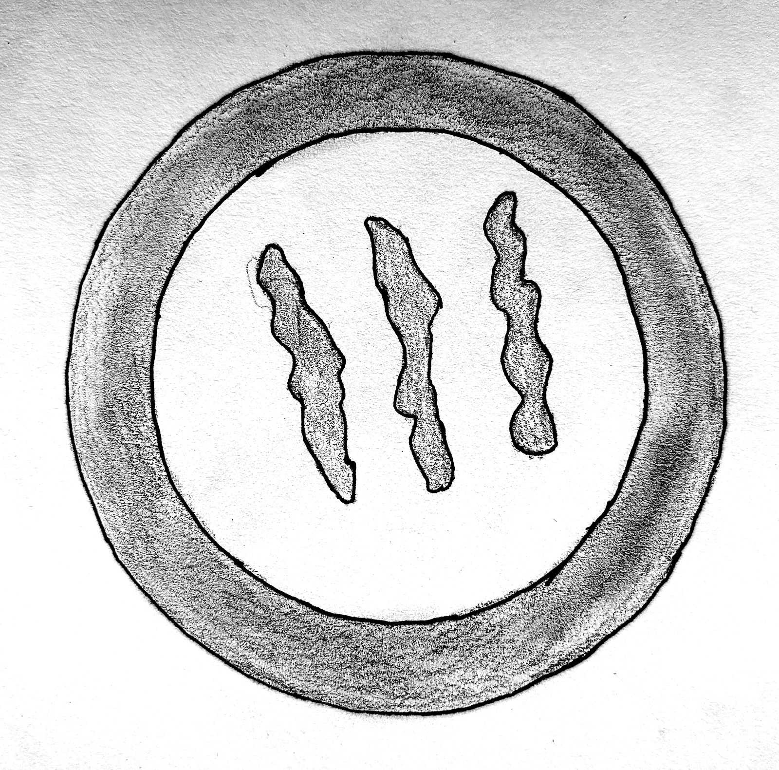 A pencil drawing of three bear claw scratches inside a shaded circle — like a badge or stamp