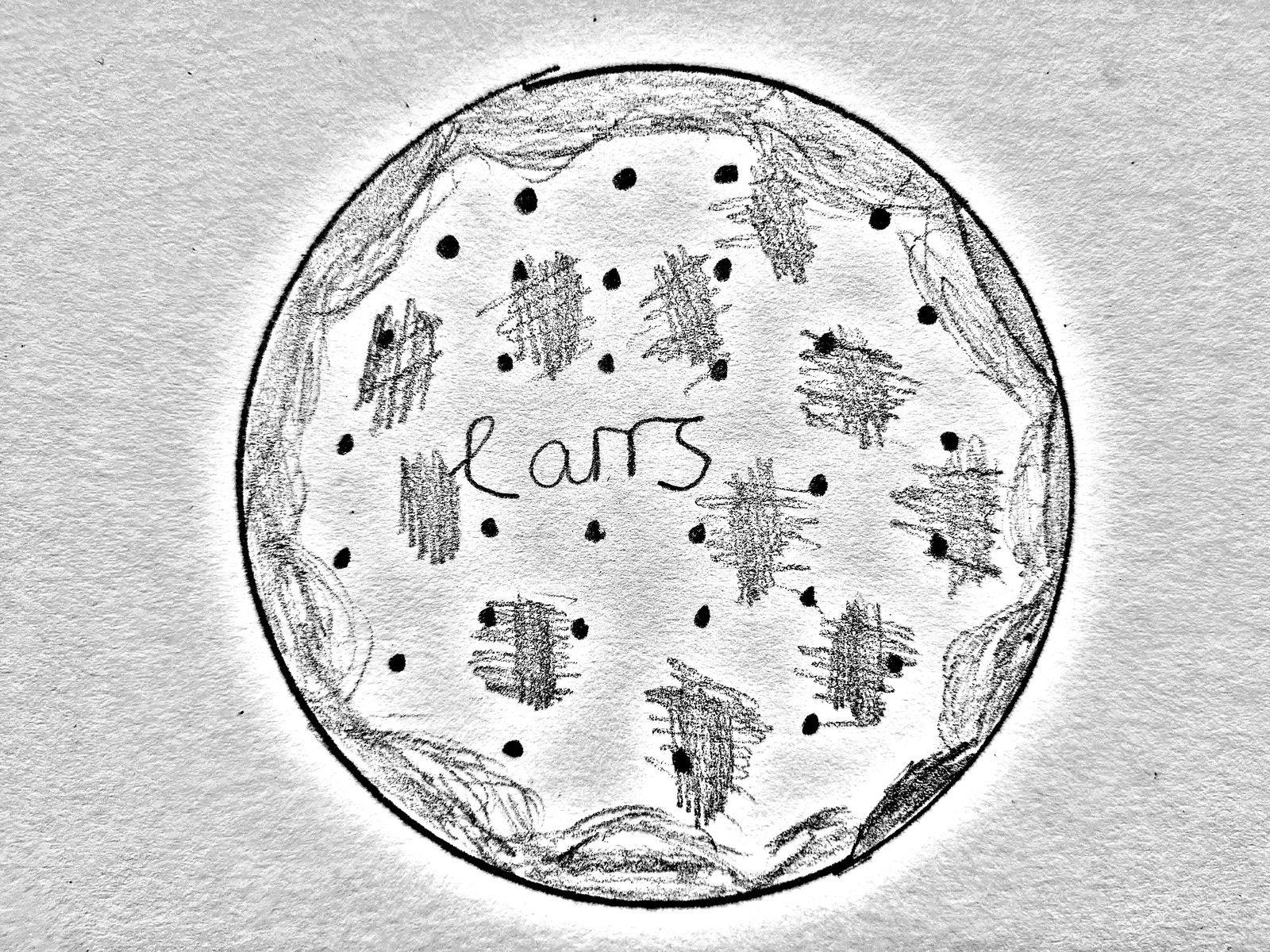 A pencil drawing of a round Carr's cracker biscuit seen from above — dots and cross-hatch textures, with Carrs printed at the centre